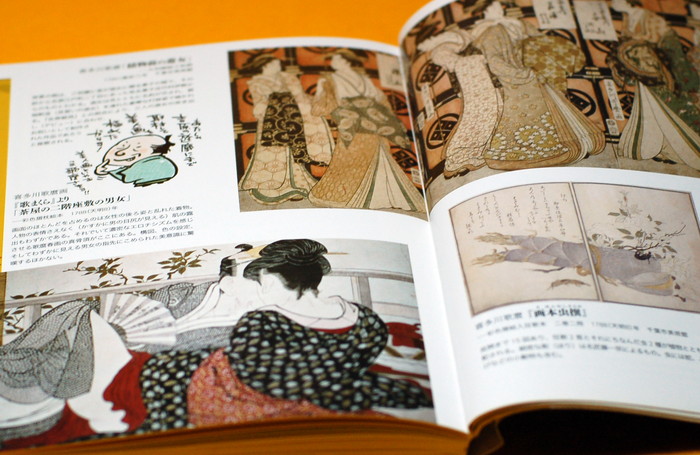 Ukiyo-e Illustrate Photo Book ukiyoe from japan - Books WASABI