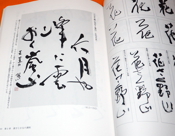 Calligraphy Copy Book Japanese, Japanese Books Beginners